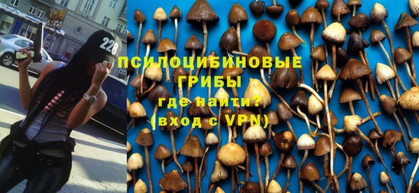 spice Куйбышев