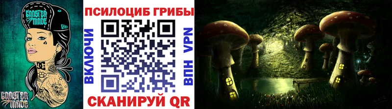Галлюциногенные грибы Psilocybe  Ессентукская 